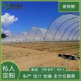 Chongqing Grape Greenhouse Film Arch Greenhouse Planting Blueberry Rain Shelter Processing Factory Greenhouse Materials Qingcheng Agriculture