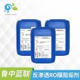 Blue Union RO Membrane Scale Inhibitor (Standard Solution) RO Reverse Osmosis System Preventing Scaling Source Factory