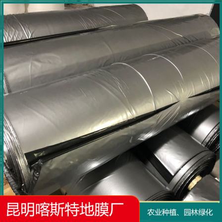 Silver gray black plastic film karst used in agricultural planting bases for sales in melon planting physical factories