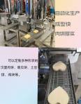 Hamburg meat patty forming machine Heidenor beef chicken filling forming machine delivers a customized mold