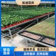 Hot dip galvanized mesh movable seedbed for greenhouse planting of Phalaenopsis, manufactured by Hangdi with excellent quality