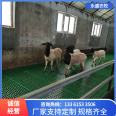 Plastic sheep bed for fattening sheep, anti stepping plastic mat for sheep shed, sheep manure board support customization