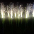 Luminous reed lamp, LED wheat ear lamp, solar outdoor garden lighting project, landscape 10 pieces/group