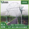 Chongqing Grape Greenhouse Film Arch Greenhouse Planting Blueberry Rain Shelter Processing Factory Greenhouse Materials Qingcheng Agriculture