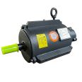 Explosion proof three-phase motor YB3-80M2-4 electric motor 0.75KW