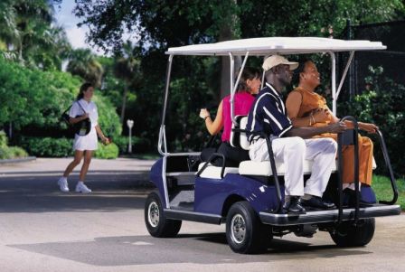 Golf cart electric 2-seater Golf cart with beautiful appearance and aluminum alloy chassis
