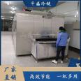 Instant Sea Cucumber Tunnel Type Quick Freezer Multifunctional Single Freezer Winged Fruit and Vegetable Low Temperature Quick Freezing Equipment