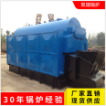 DZL2 chain grate biomass steam boiler 2 ton automatic mechanical chain particle steam furnace