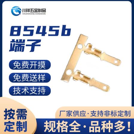 Car plug terminal harness wire waterproof plug welding plug terminal head pressure wire harness connection socket Chuanxiang Hardware