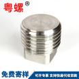 Stainless steel outer square plug, oil plug, blind pipe plug, all supporting specifications