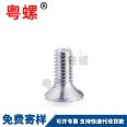 304 stainless steel screw, countersunk head, internal plum blossom bolt with column, anti-theft screw, flat head, irregular shaped needle, anti disassembly