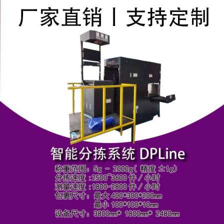 Hongshunjie Package DWS Sorting and Weighing Integrated Machine Assembly Line Dynamic Weighing and Measuring Volume Equipment