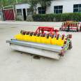 10 rows garlic seeder garlic petal planter garlic seed drop sowing machine