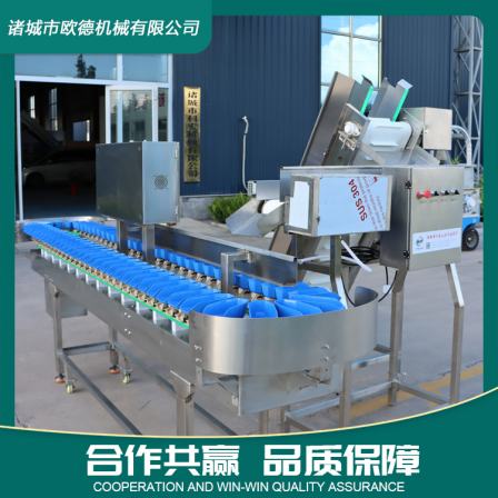 Material box weight sorting machine Seafood sorting machine Equipment hairy crab sea cucumber sorting machine Oude