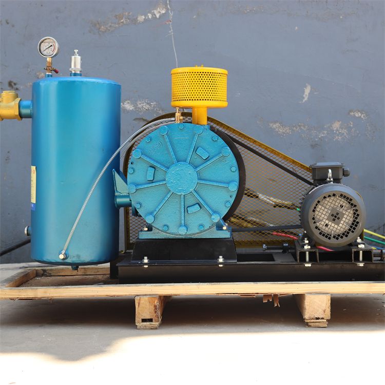 High air volume and low noise rotary blower XQSHZ50S sewage treatment aeration fan