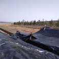 Dongyue Wanlide HDPE geomembrane aquaculture film reservoir anti-seepage can be customized