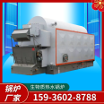 Manufacturer of fully automatic 6-ton coal-fired biomass chain hot water boiler for heating in residential bathing coal mines