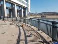 Bridge deck guard rail, bridge protective fence, river anti collision fence, factory customized Yunjie