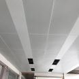 School multifunctional hall ceiling aluminum panel report hall indoor aluminum veneer customization factory