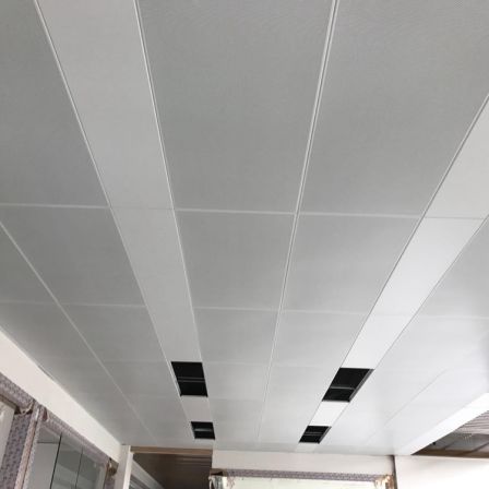 School multifunctional hall ceiling aluminum panel report hall indoor aluminum veneer customization factory