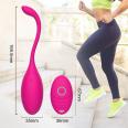 Yue Se Huan YSH Wireless Remote Control Egg Jumping Exercise Massager Women's Vibration Masturator Smart Ball Adult Products