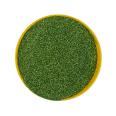 B0600 Green Gold Onion Powder Glitter Pigment Nail Decoration Gold Onion Sparkling Powder