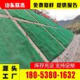 Slope Grassing and Greening Protection 3D Vegetation Network NSS4 Geomat Support Customization