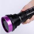 Degreasing inspection flashlight LUYOR-2130L, American Road Yang black light, grease detection