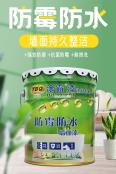 Home Decoration Latex Paint Engineering Latex Paint Coating Interior Wall Coating Waterproof and Mold proof Latex Paint