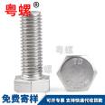 Extended Expansion Screw 304 Stainless Steel Screw Extra Long Ceiling Bolt Screw Rod Expansion Clothes Hanger Screw