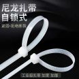 Nylon cable tie Cable tie self-locking cable tie specification all gold blue hot promotion