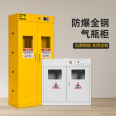 Steel cylinder cabinet, laboratory safety cabinet, gas tank cabinet, double cylinder explosion-proof cabinet