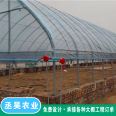 Elliptical tube greenhouse with strong and durable wind and snow resistant framework for planting flowers and vegetables 30 * 70 galvanized pipe manufacturer