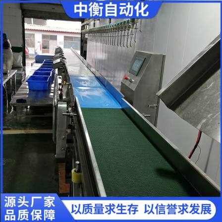 Fish Belt Weight Sorting Machine Commercial Seafood Sorting Equipment Abalone Weighing and Sorting Machine Scale Automation
