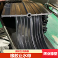 Huiye Middle Buried Back Sticking External Steel Edge Detachable Water Expansion U-shaped Rubber Waterstop Manufacturer with High Tensile Strength