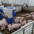 Environmental protection intelligent Congee feeder 60kg bucket pig automatic feeder New feeding equipment of pig farm