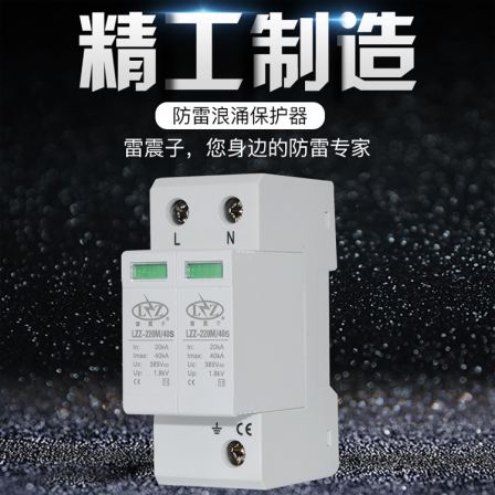 Lightning arrester LZZ-220M/40 distribution box 2P surge protector for Leizhenzi 220V power supply