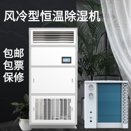 Ruiwang Workshop Warehouse Temperature Regulating Industrial Dehumidifier Shopping Mall High Power Office Building Factory Constant Temperature and Humidity Machine