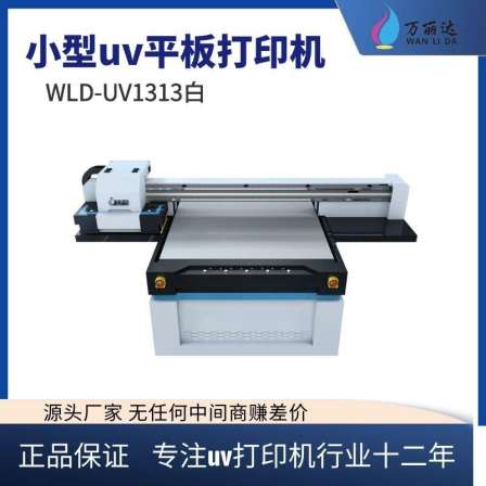 Wanlida Ricoh G5 nozzle customized home decoration painting UV printer WLD-UV1313