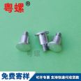 Non standard step screw knurled screw flat head knurled thumb screw M2 M3