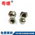 Dome Nut Customized Hexagon Decorative Nut Wheel Screw Decorative Nut M4 M5