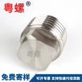 Stainless steel outer square plug, oil plug, blind pipe plug, all supporting specifications