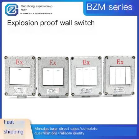 Explosion-proof wall switch 86 type single open double open three open four open 220V10A lighting switch surface mounted industrial explosion-proof