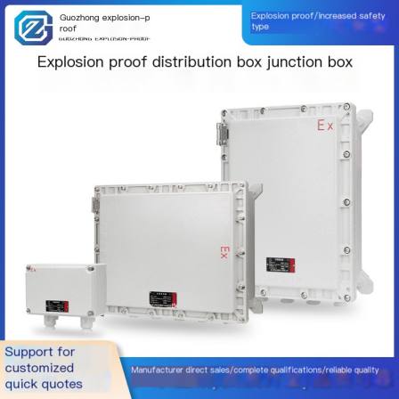 BJX51 explosion-proof junction box empty box control box instrument maintenance lighting power distribution switch button cabinet customization