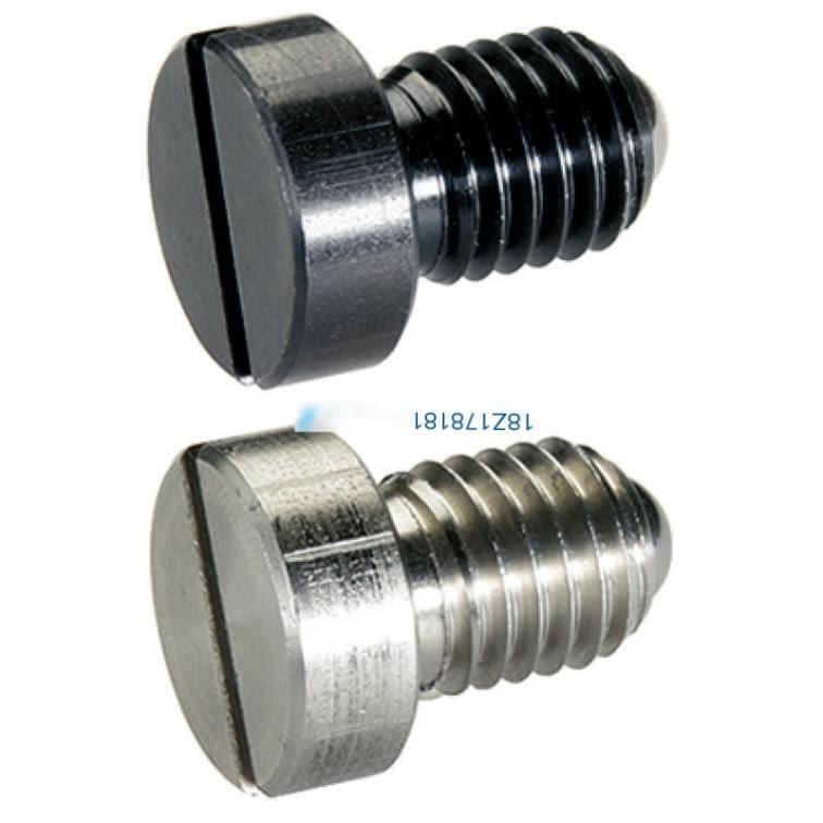 22050 German HALDER positioning ball and all stainless steel ball head plunger GANTER ball spring pin GN815