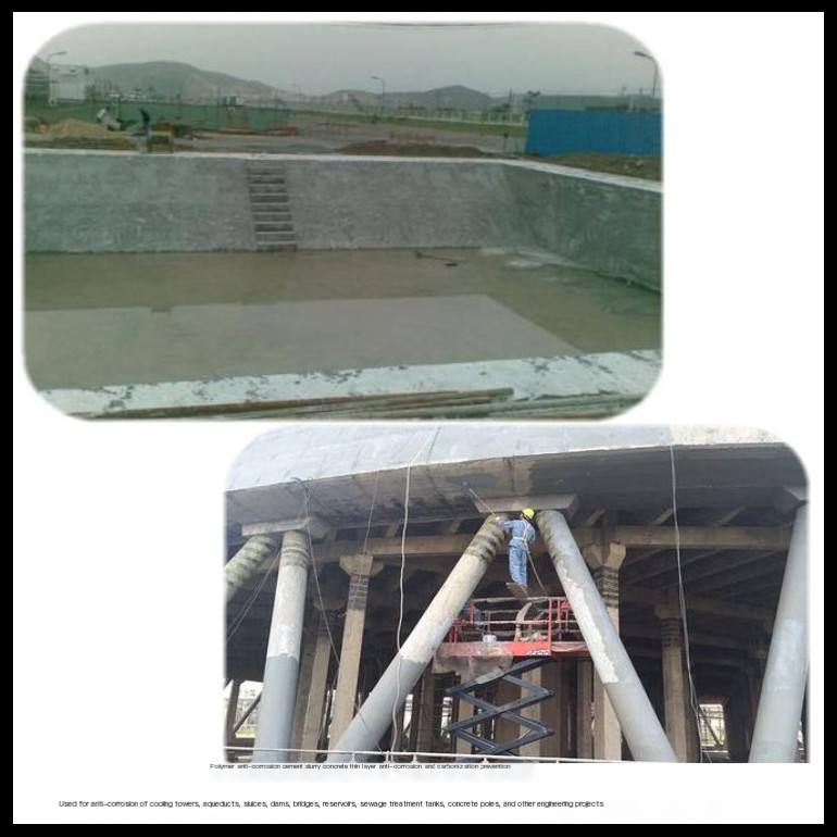 Changzhou Polymer Cement Anticorrosion Slurry Thin Layer Anticorrosion and Carbonization Materials for Concrete Surface