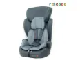 Grey child safety seat 123 groups 9 months-12 years old