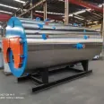 WNS fuel gas steam boiler-Yinchen