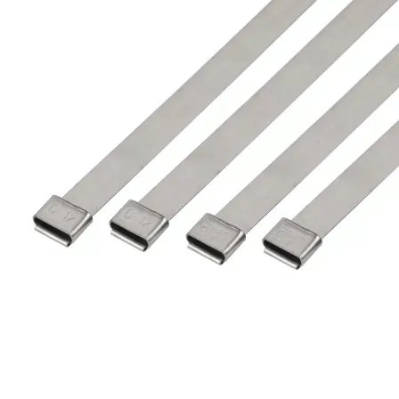Stainless Steel Uncoated Cable Ties-O LockType