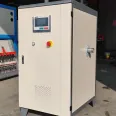 Electrically heated steam generator-Yinchen